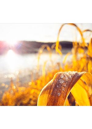 《甦·醒》Con Brio 德奧室內樂經典