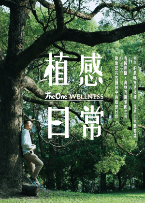 春宴雅樂-漫步春日宅院繽紛樂章