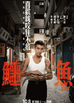 鱷魚
