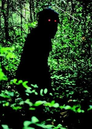 【特別放映】波米叔叔的前世今生