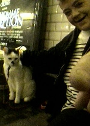 塔可夫斯基的一天、巴黎牆上的貓