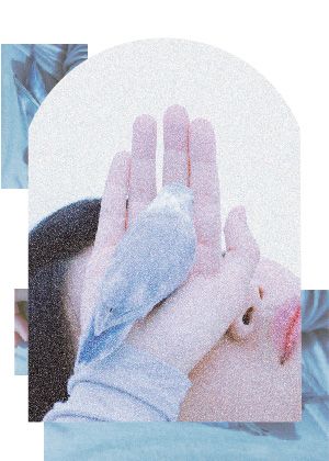 【2023臺北藝穗節】鳥人紀