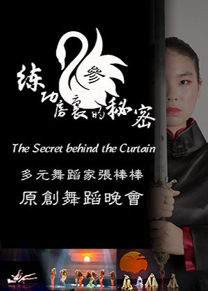 練功房裡的秘密-參 多元舞蹈家張棒棒原創舞蹈晚會