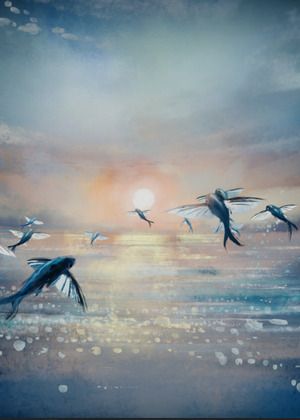 《Sosowon的冒險》｜TTXC XR DREAMLAND