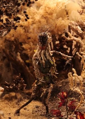 雄影國際短片競賽：臺灣組 C｜TTXC高雄電影節