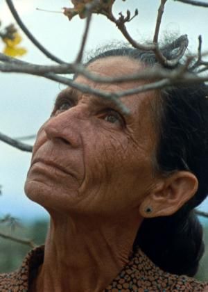 雄影國際短片競賽：國際組 H｜TTXC高雄電影節