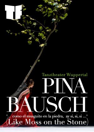 2026TIFA 碧娜．鮑許烏帕塔舞蹈劇場《如石頭上的青苔》