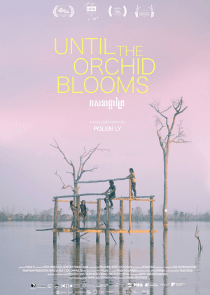 直到蘭花盛開時