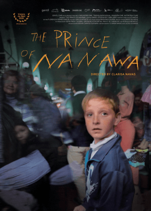 納納瓦年少紀事