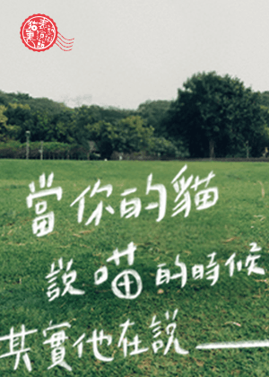 2026貓裏表演藝術節《當你的貓說喵的時候，其實他在說___。》