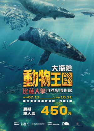 動物王國大探險展-比薩大學自然史博物館