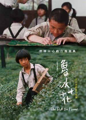 魯冰花（數位修復版）