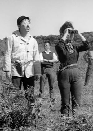 【府中15】紀錄片放映院《泰山寶藏 數位修復版》